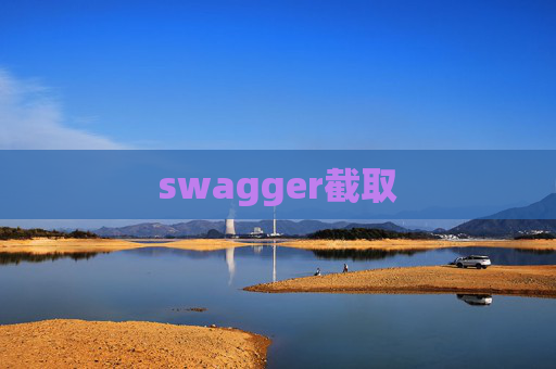 swagger截取